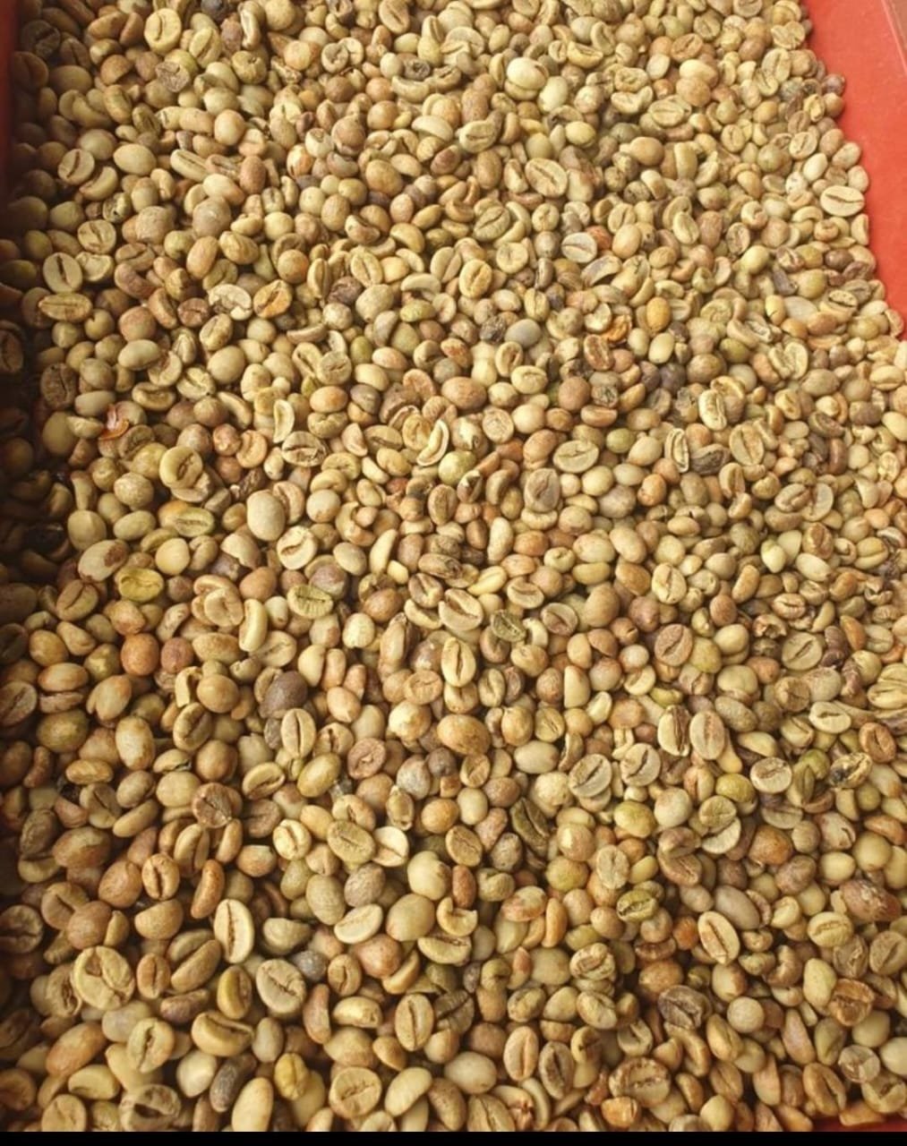 Café Sélection CCS