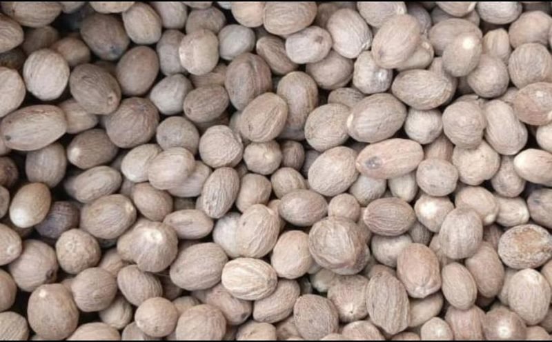 Noix de Muscade
