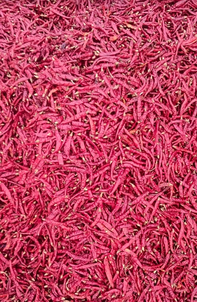 Piment Sec Rouge